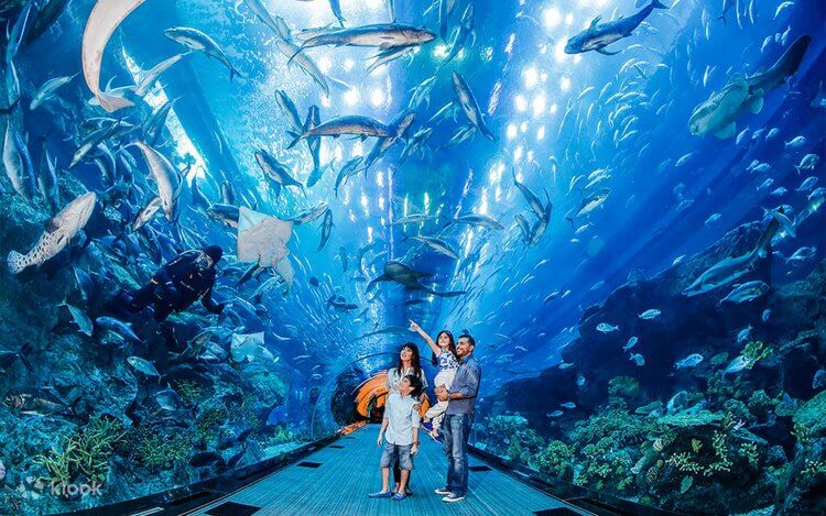 Dubai Aquarium