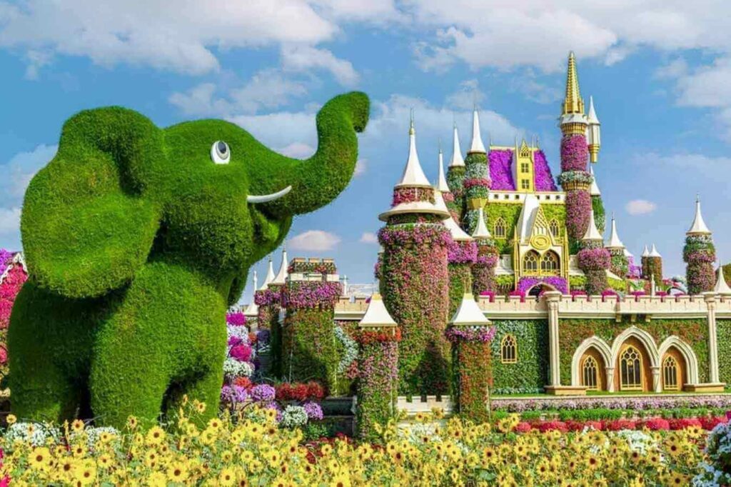 The Origins and Vision of Dubai Miracle Garden